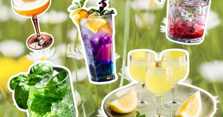 Creative Beverage Recipe Ideas for Parties, Events, and Everyday Use
